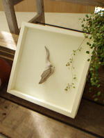 ネイチャーアートフレーム